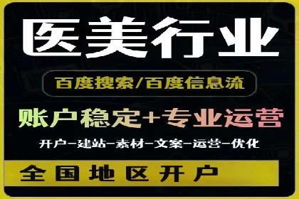 百度竞价排名机制：成功案例与策略探讨