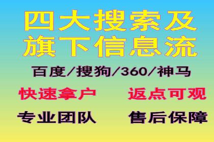 SEM推广案例：揭秘高ROI背后的策略与实践